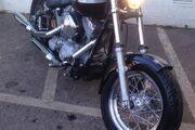 Picture 6 - 2003 Harley-Davidson Softail standard (very good condition) 100th anniversary motorbike