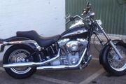 Picture 8 - 2003 Harley-Davidson Softail standard (very good condition) 100th anniversary motorbike