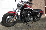Picture 6 - 2013 Harley-Davidson 1200 Custom LTD XL CA 13 orange/brown motorbike