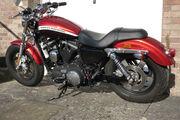 Picture 7 - 2013 Harley-Davidson 1200 Custom LTD XL CA 13 orange/brown motorbike