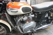 Picture 9 - Triumph T120 Bonneville 1966 motorbike