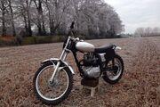 Picture 4 - BSA B40 Scrambler, Pre 65, Motorcross motorbike