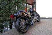 Picture 3 - Harley-Davidson FLSTSB Cross Bones motorbike