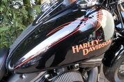 Picture 10 - Harley-Davidson FLSTSB Cross Bones motorbike