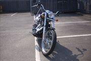 Picture 4 - Custom Fat Tail Lowrider with Harley 1450cc powertrain motorbike