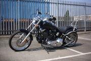 Picture 7 - Custom Fat Tail Lowrider with Harley 1450cc powertrain motorbike