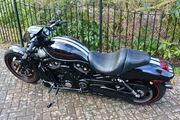 Picture 9 - Harley-Davidson Night Rod Special VRSCDX 2008 motorbike