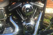 Picture 6 - Harley-Davidson Dyna FXDWG custom not bobber bagger motorbike