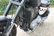 Picture 8 - 2012 Harley-Davidson XR 1200 Sportster motorbike