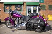 Picture 2 - 2002 Harley-Davidson FLSTC Mauve/Purple motorbike
