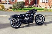 Harley Davidson sportster 1200 48 custom special rough crafts only 1200 miles for sale