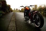 Picture 5 - Harley-Davidson custom handbuilt bobber chopper work of art motorbike