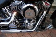 Picture 8 - Harley-Davidson FXSTS Springer Softail motorbike