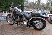 Picture 11 - Harley-Davidson FXSTS Springer Softail motorbike