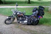 Picture 5 - Harley-Davidson Springer Softail Motorbike motorbike