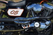 Picture 4 - Harley-Davidson Sportster 1200 Scrambler 