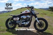 Picture 10 - Harley-Davidson Sportster 1200 Scrambler 