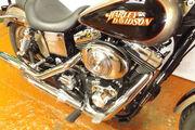 Picture 6 - Harley-Davidson FXDL Dyna low rider motorbike