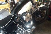Picture 6 - 1998 Harley-Davidson FXDS custom bobber motorbike