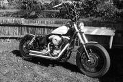 Picture 9 - 1998 Harley-Davidson FXDS custom bobber motorbike