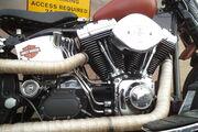 Picture 7 - Harley-Davidson 2005, FLSTSC Softail Springer Bobber motorbike