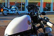Picture 6 - 2015 Harley-Davidson XL1200X Custom King Forty-Eight - White Noise Custom motorbike
