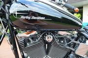 Picture 11 - Harley-Davidson Softail Springer Bobber original no aftermarket motorbike