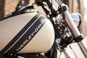 Picture 3 - 2015 Harley-Davidson FXDF 1690 Dyna Fat Bob - Sand Camo Paint motorbike
