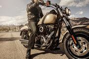 Picture 6 - 2015 Harley-Davidson FXDF 1690 Dyna Fat Bob - Sand Camo Paint motorbike