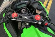Picture 8 - Kawasaki ZX 10R (ZX 1000 JEF) Limited Edition Official Tom Sykes Replica motorbike