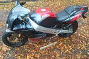 Picture 5 - Bimota SB6 motorbike