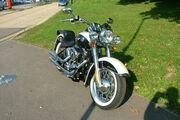 Picture 4 - Harley-Davidson FLSTN Softail Deluxe in two tone black & white motorbike