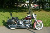 Harley-Davidson FLSTN Softail Deluxe in lovely metallic brown & black two tone for sale