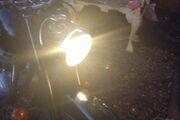 Picture 7 - BSA C15 250 - 1964 motorbike