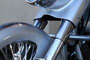 Picture 5 - Harley-Davidson Road King Bagger Metal King 2003 year motorbike
