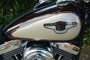 Picture 5 - Harley-Davidson Fatboy FLSTF 1998, 95th Anniversary Model, 1340cc motorbike