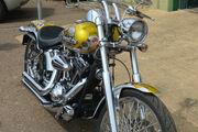 Picture 10 - Harley-Davidson Softail 1450cc custom, over £15000 extras motorbike