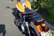 Picture 10 - 1977 Harley FLH1200 Shovelhead bobber motorbike