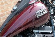 Picture 6 - 2013 Harley-Davidson Street Bob FXDB Stage1 tune - Hard Candy Custom Colour motorbike