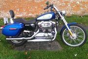 Picture 4 - 2010 Harley-Davidson XL 1200 C Custom Sportster, 5000 Miles, Panniers motorbike