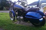 Picture 5 - 2010 Harley-Davidson XL 1200 C Custom Sportster, 5000 Miles, Panniers motorbike