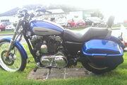 Picture 7 - 2010 Harley-Davidson XL 1200 C Custom Sportster, 5000 Miles, Panniers motorbike