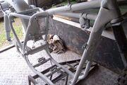 Picture 3 - BSA Gold Star Scrambler project 1955 CB32 barn find motorbike