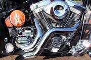 Picture 6 - Proper Chopper Custom Motorcycle 2010 - Bobber - Harley-Davidson Tank motorbike