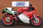 Picture 3 - Ducati 750 F1 TT2, low miles and very original motorbike