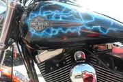 Picture 9 - Harley-Davidson FXDF Fat Bob 1584 10 Terminator motorbike
