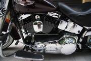 Picture 7 - 2004 Harley-Davidson FLSTNI Softail Deluxe 1450cc motorbike