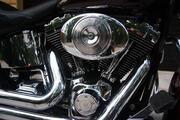 Picture 9 - 2004 Harley-Davidson FLSTNI Softail Deluxe 1450cc motorbike
