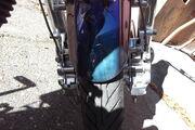 Picture 10 - 2003 Harley-Davidson FXST Softail Custom motorbike