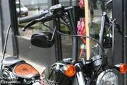 Picture 6 - Harley-Davidson 2010 Sportster Forty Eight Custom 48 Stage 1 motorbike